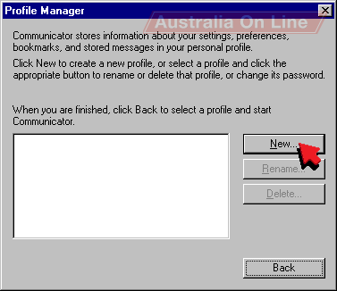 Profile Manager dialog. 